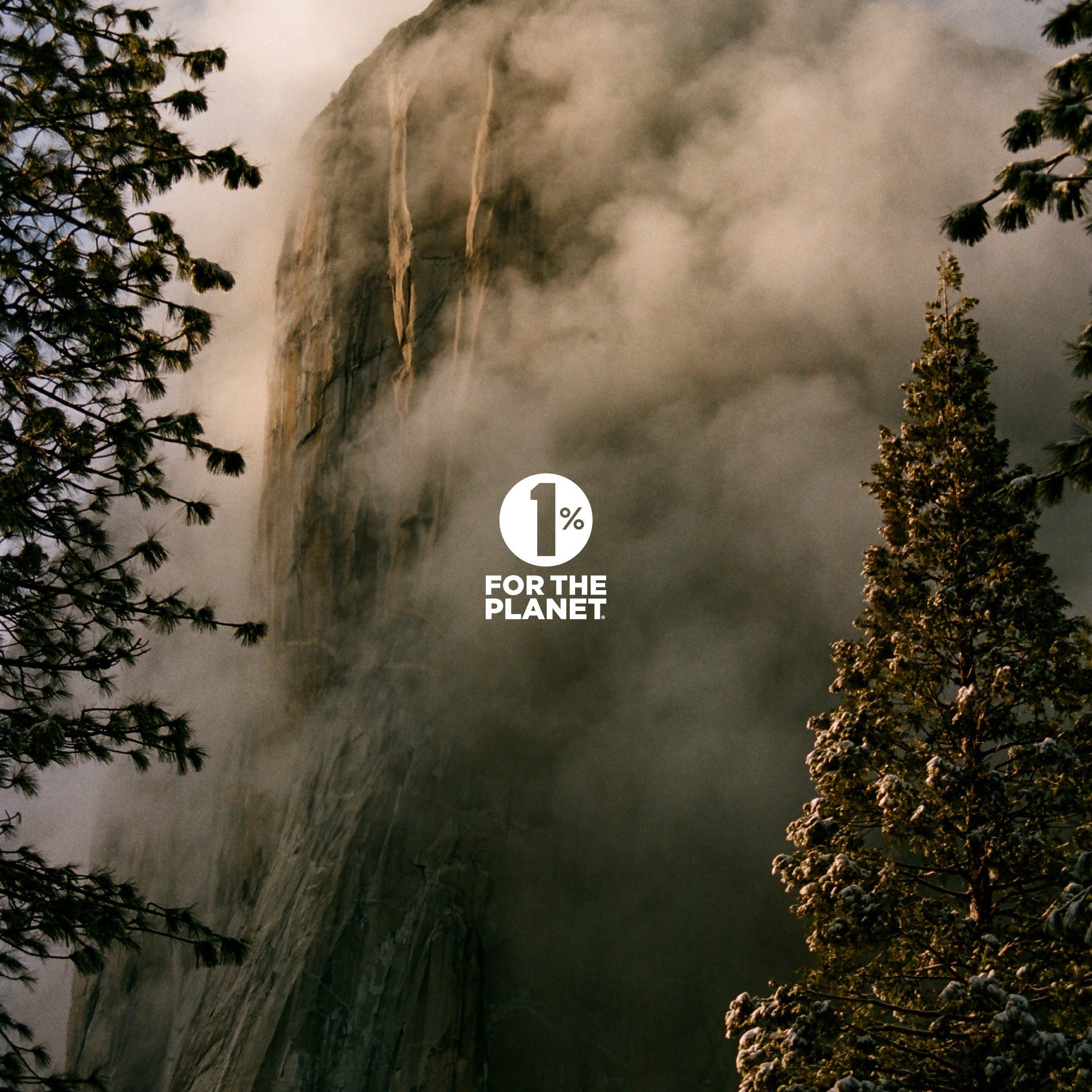 Why We’re Proud to Be Part of 1% for the Planet