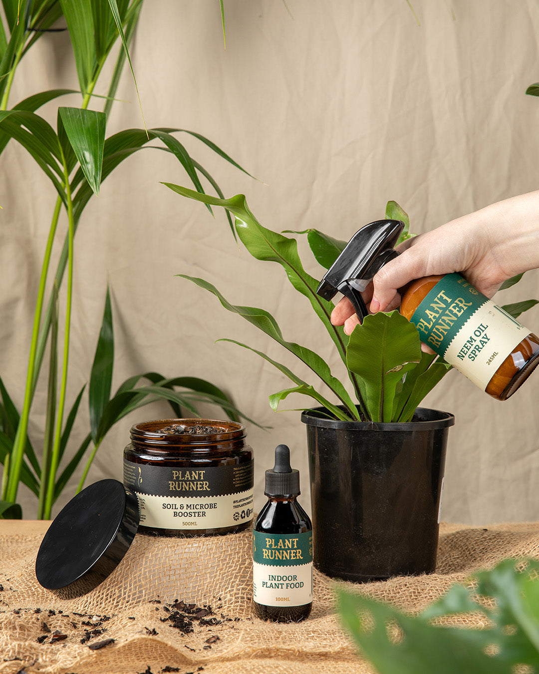 Neem Oil for Indoor Plants: How We Actually Use It at Home