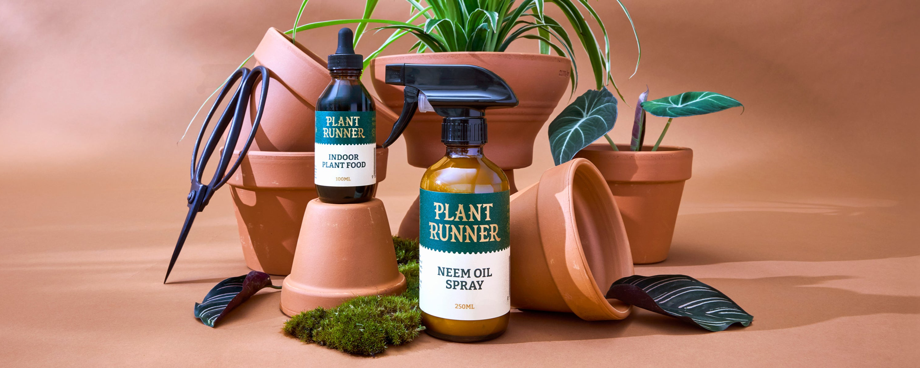 Neem Oil and Plant Food: the only essentials in your plant care regime