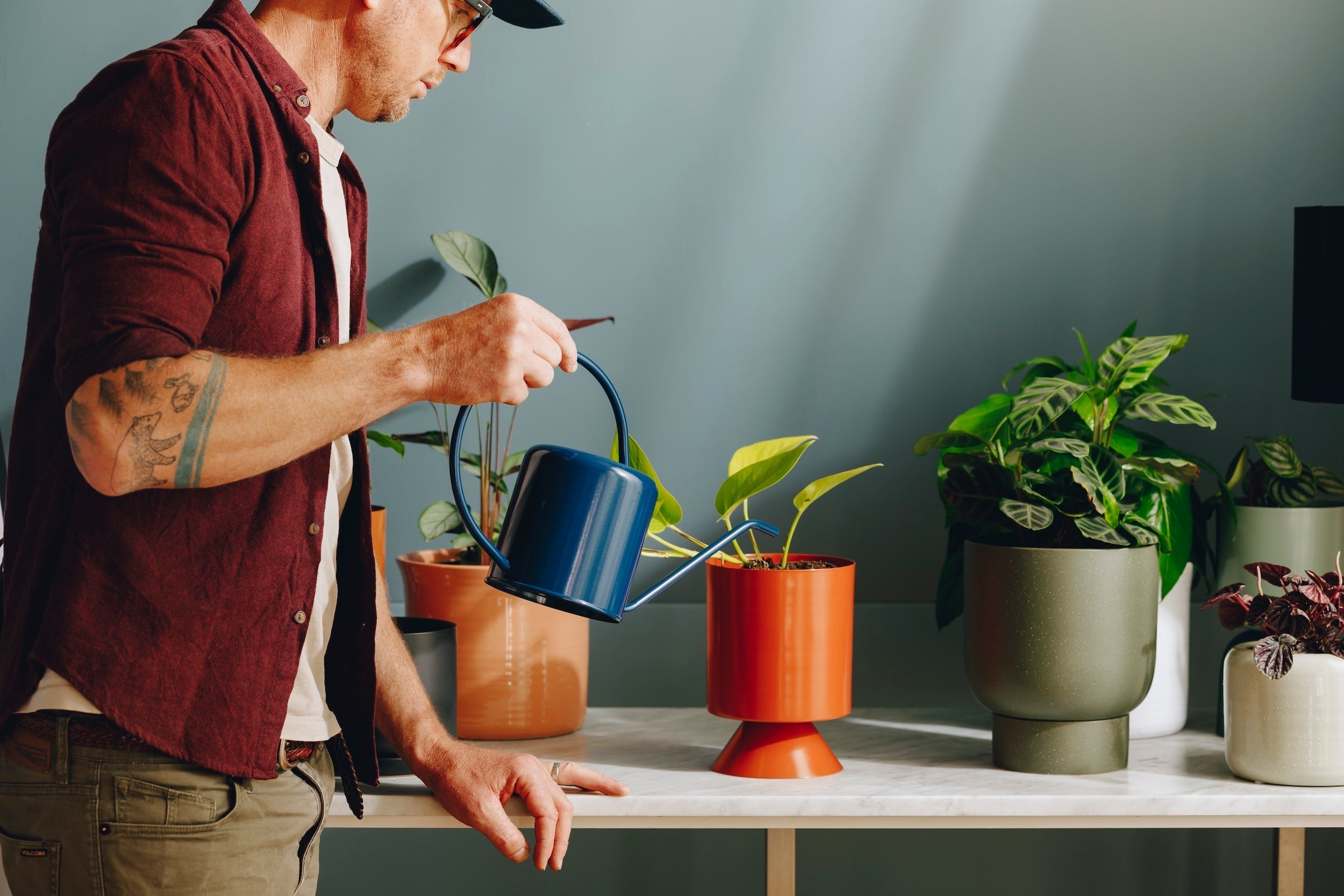 How Often Should You Water your Plants - A definitive guide