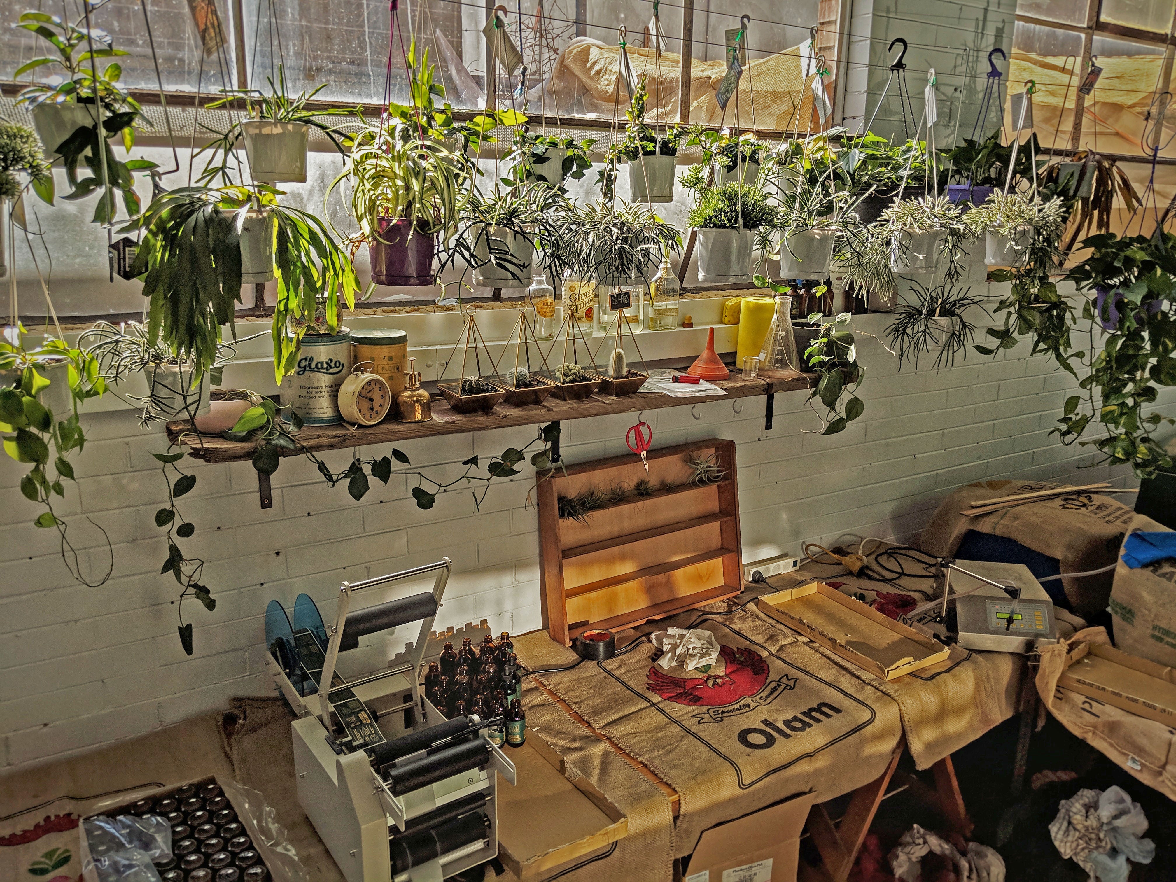 Its all about Plant Positioning