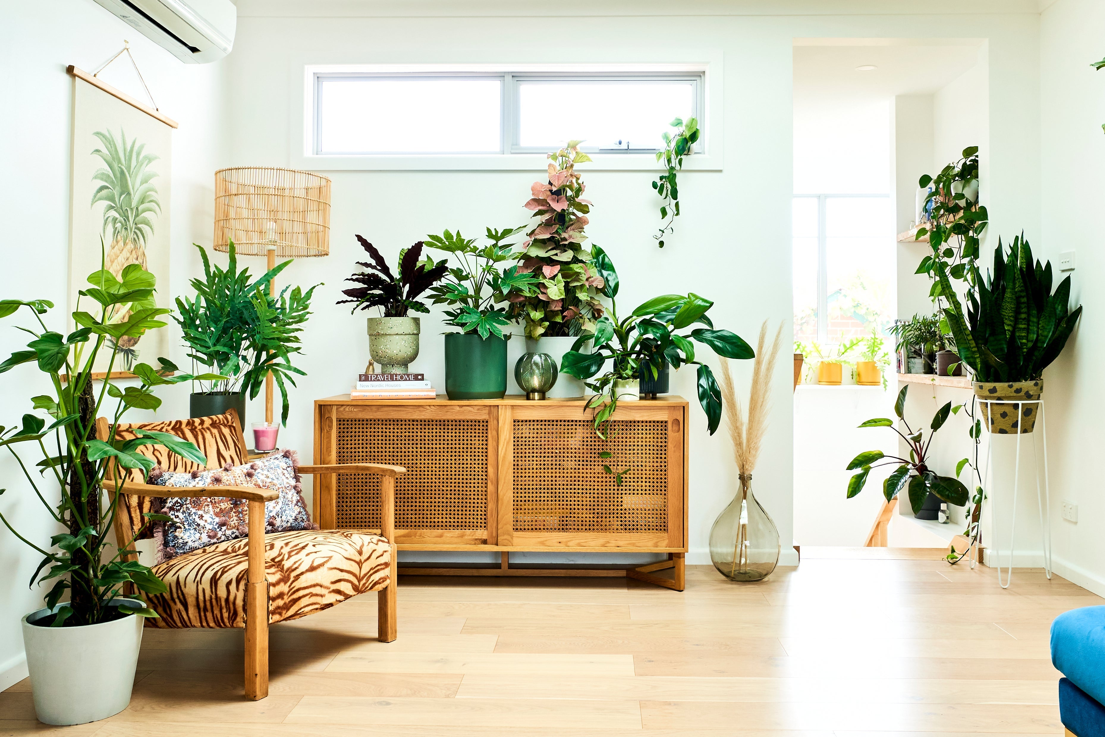 Do Indoor Plants Bring Bugs? A Practical Guide to Houseplant Pests