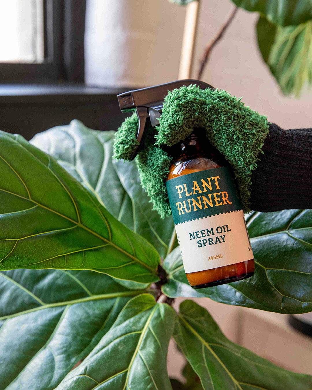 Leaf Shine 101: Why Clean Foliage = Better Photosynthesis