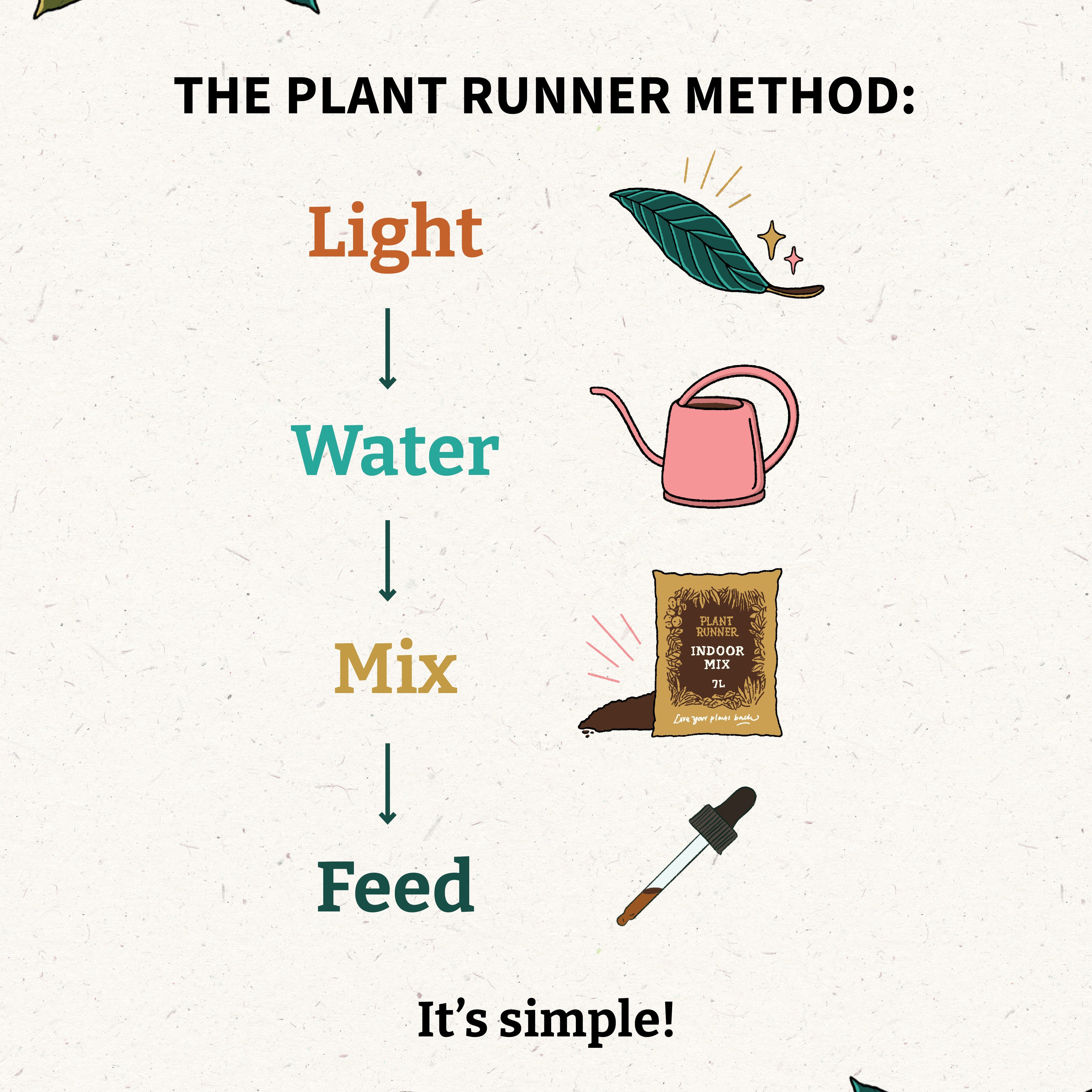 Why Indoor Plant Problems Get Diagnosed Backwards