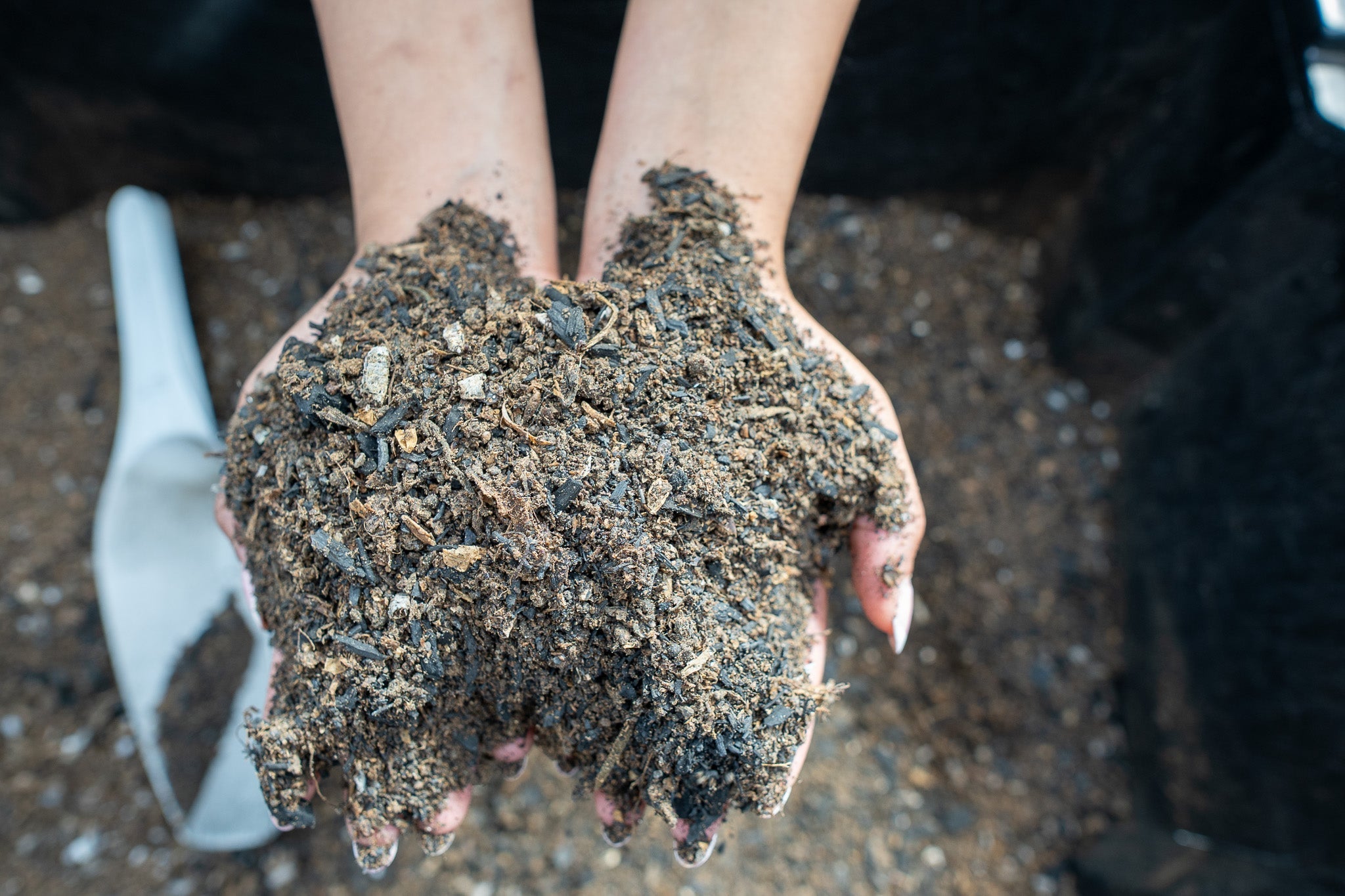 What's Actually Living in Your Potting Mix?