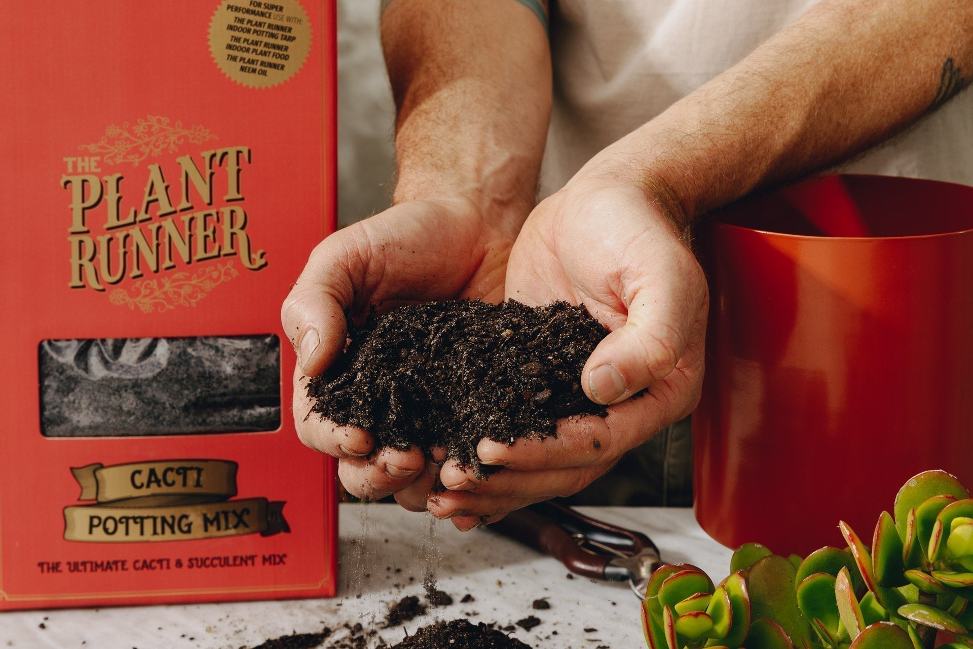 Best Potting Mix for Indoor Plants: How to Choose the Right One