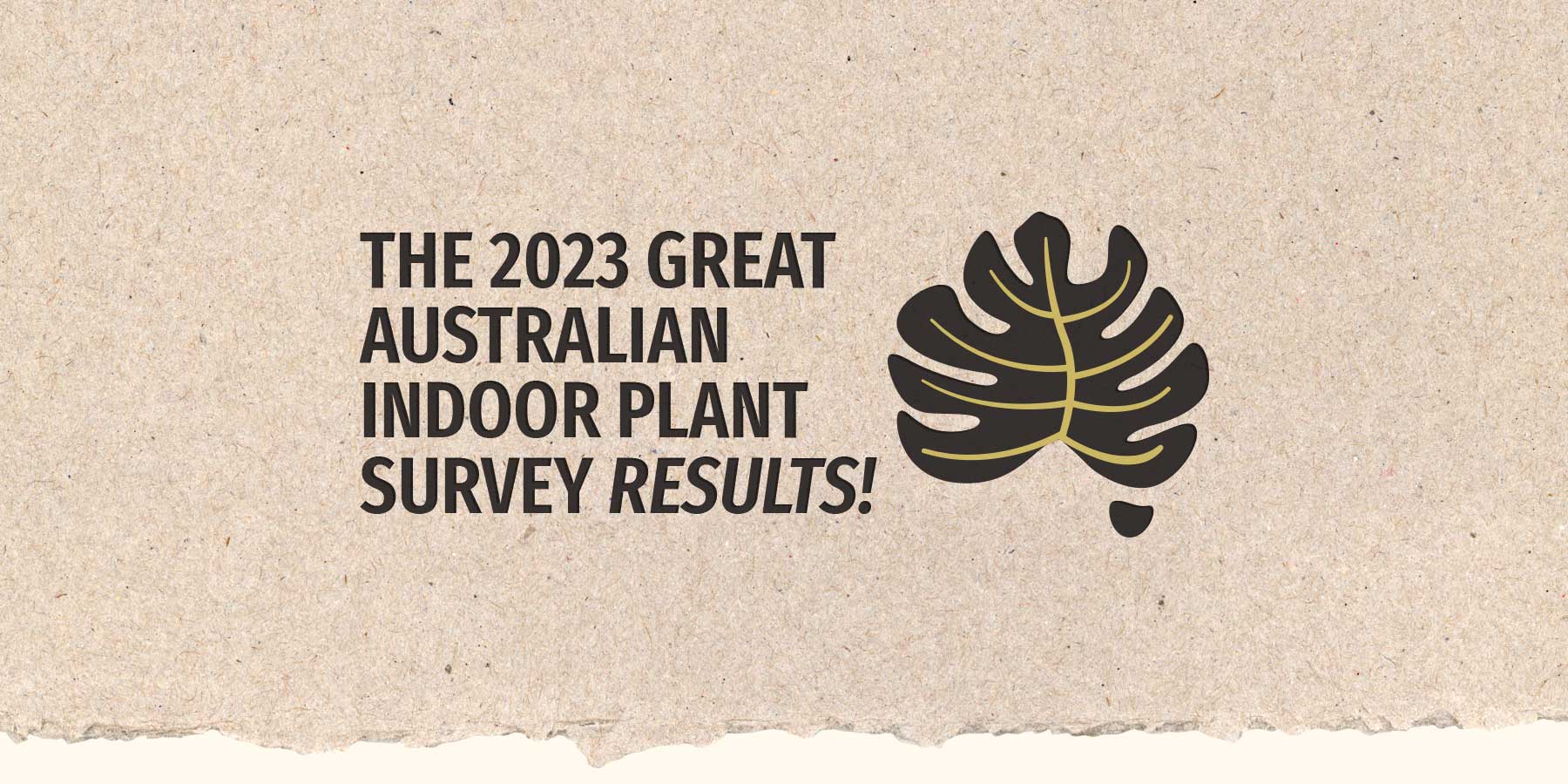 The Results Are In - Our 2023 Great Australian Indoor Plant Survey