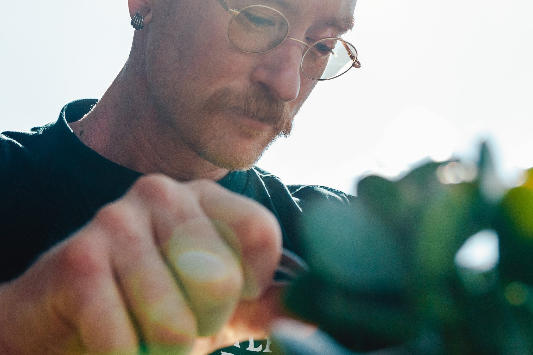 Spring Indoor Plant Care: What Actually Changes (and What Doesn't)