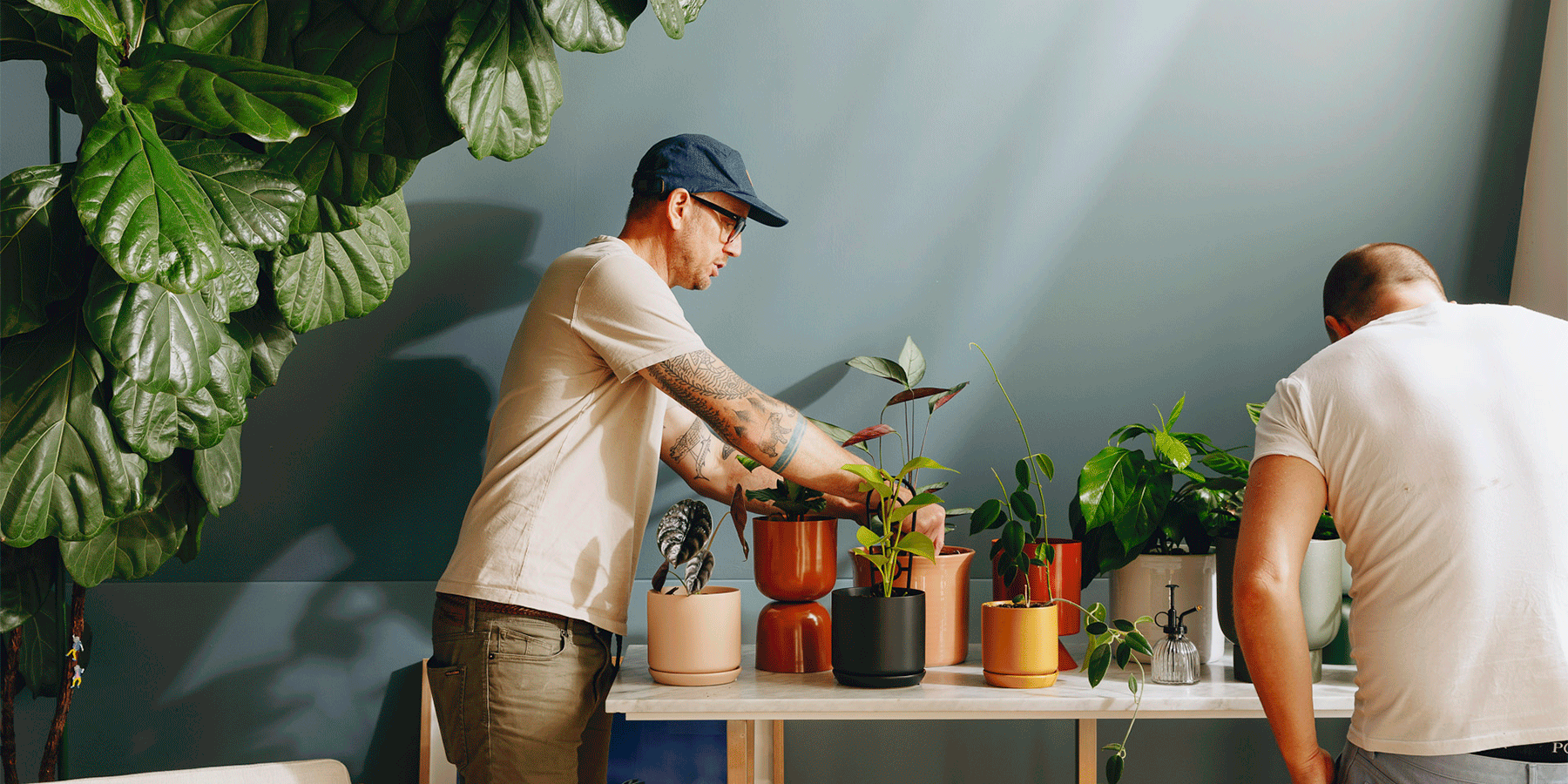 Our 2022 Plant Care Resolution List