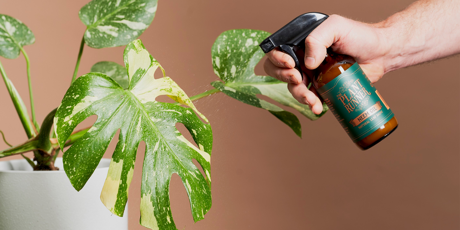 When does Neem Oil Expire?