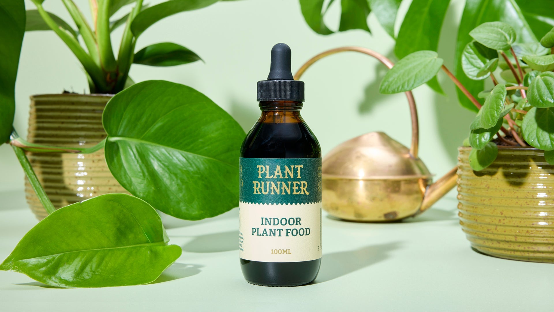 Why Your Plants Need More Than Water