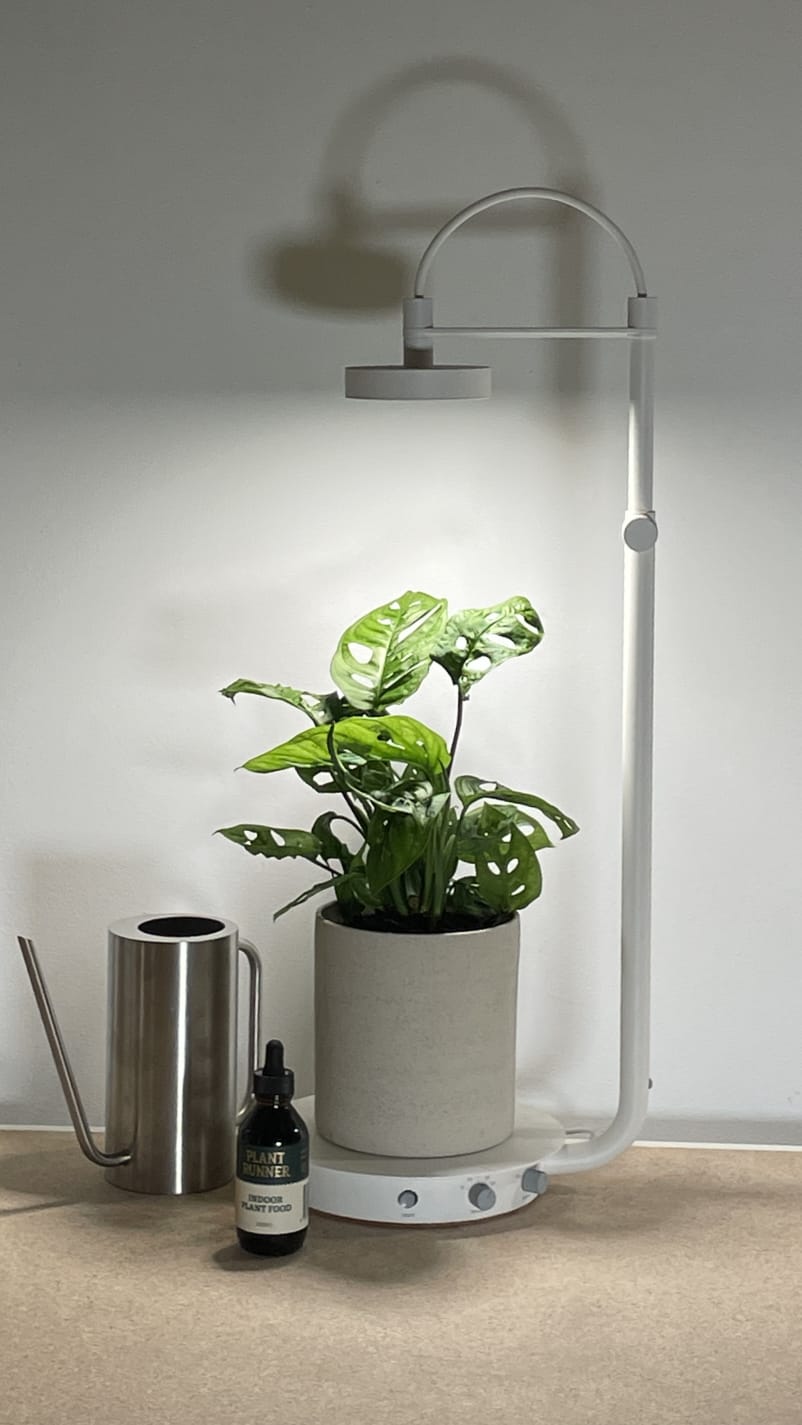 Understanding Light and Plants