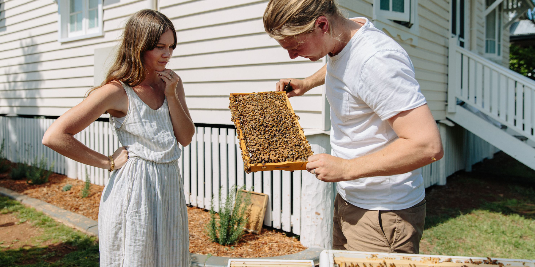 Bees & Seeds - An Intro to Settler Hives