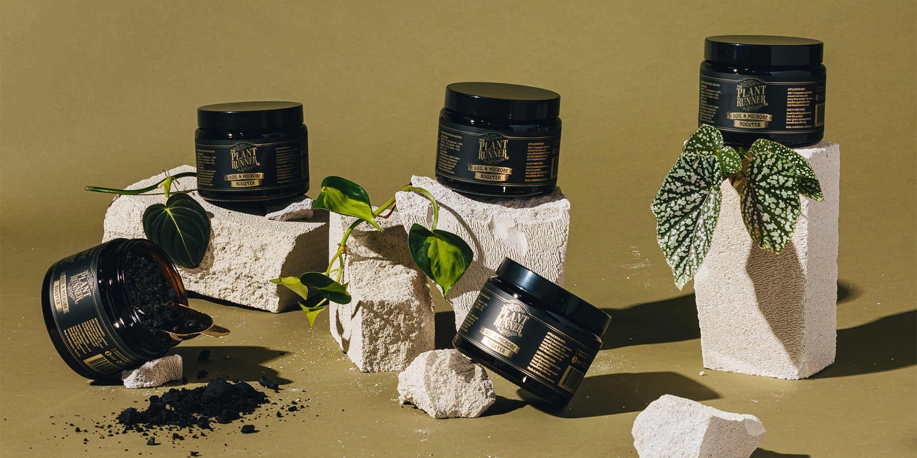 What is frass and how is it good for my plants?