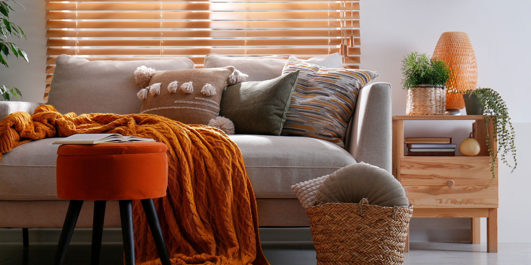 Autumn Plant Care Guide for Indoor Enthusiasts