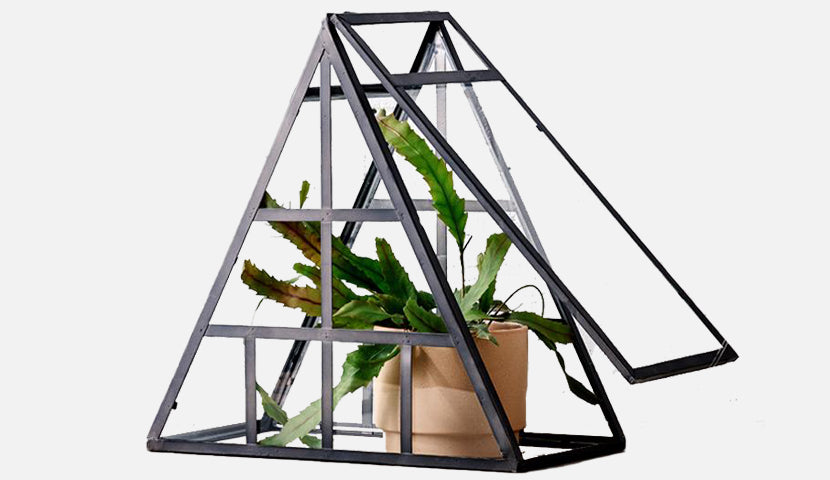 How to: Terrarium