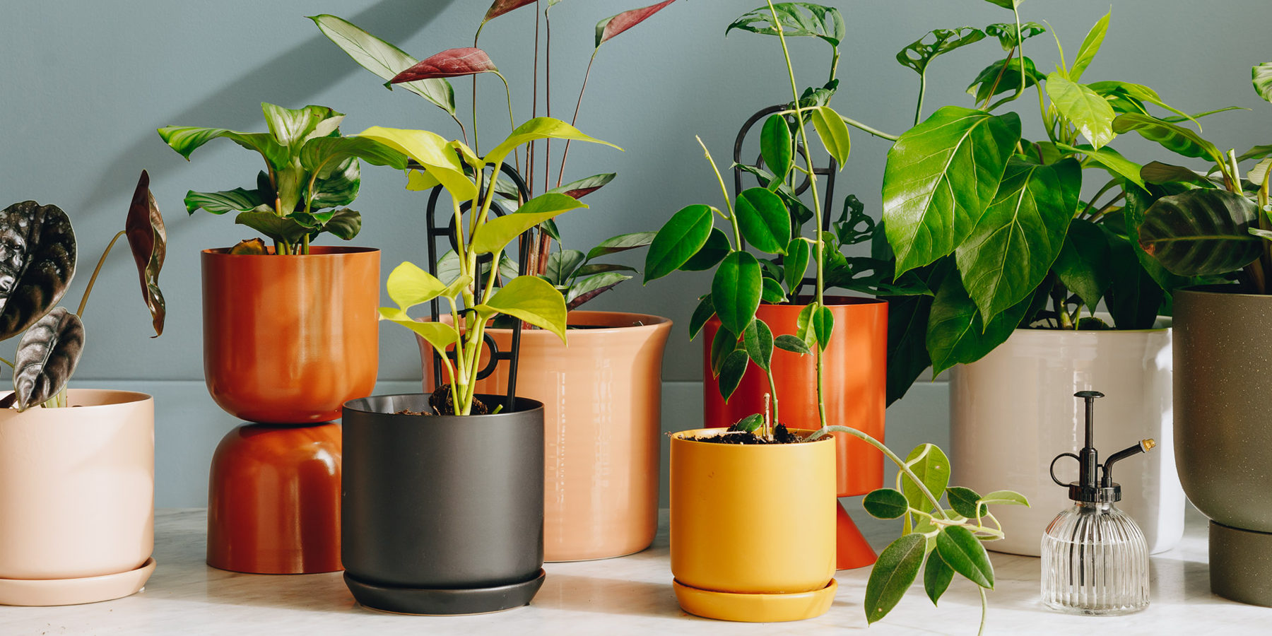 HOW TO STYLE POT PLANTS
