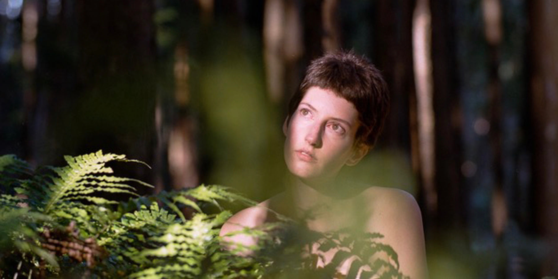 Plant Runner Collaborators: Claudia Messenger