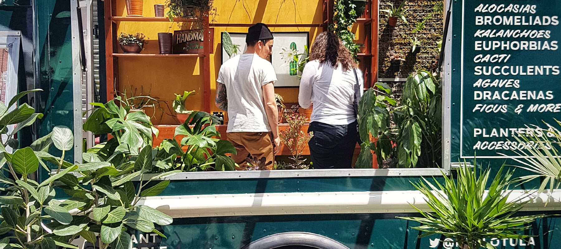 Our Top 10 Plant Shops in North America