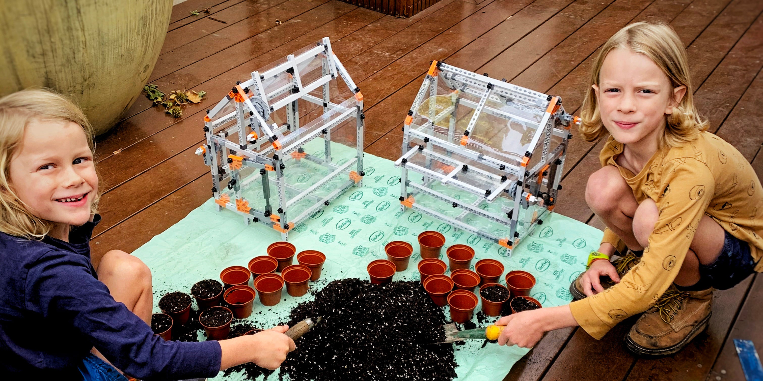 Plant Runner Guide to Safe and Rewarding Plants for Kids