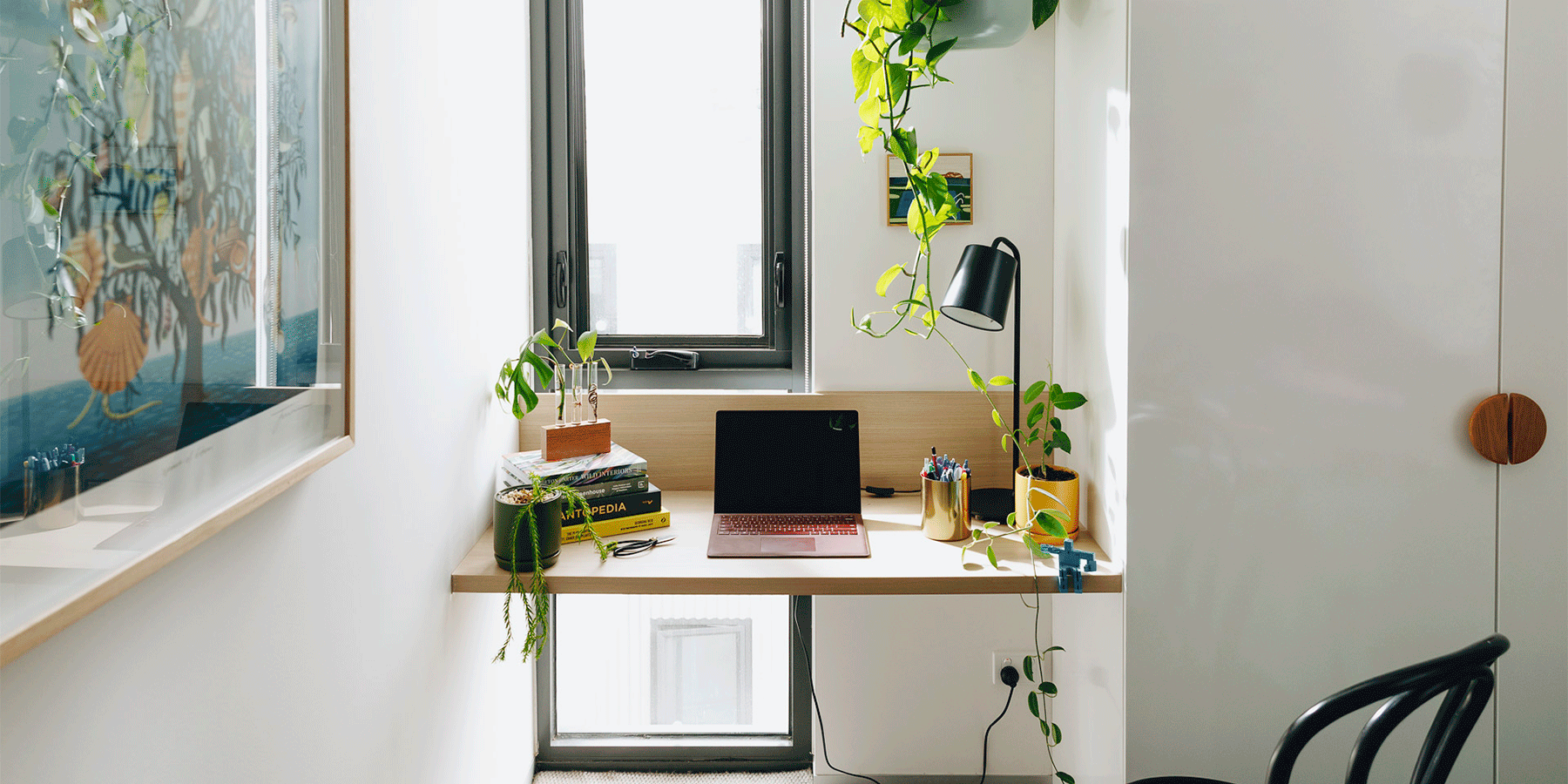 How to look after plants when you go on holiday