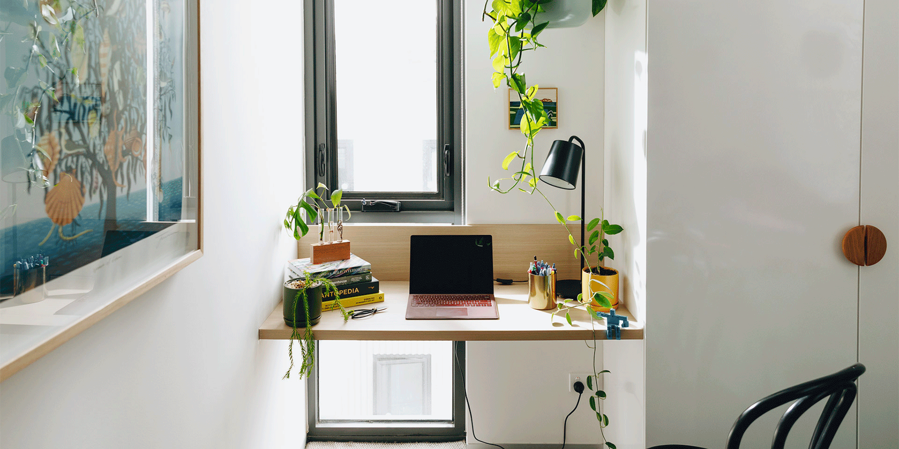 How to look after plants when you go on holiday