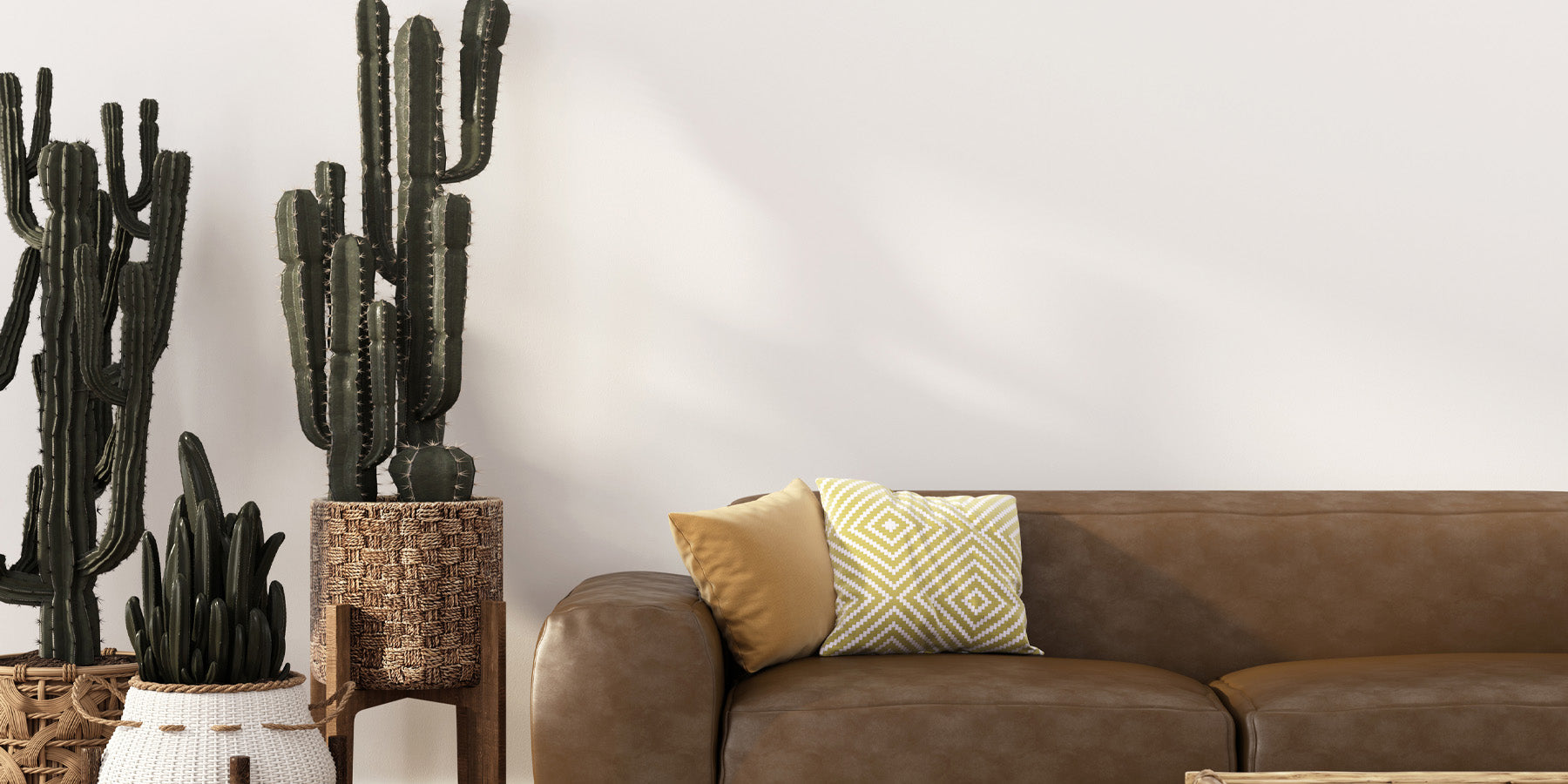 How to Cultivate Cacti Indoors