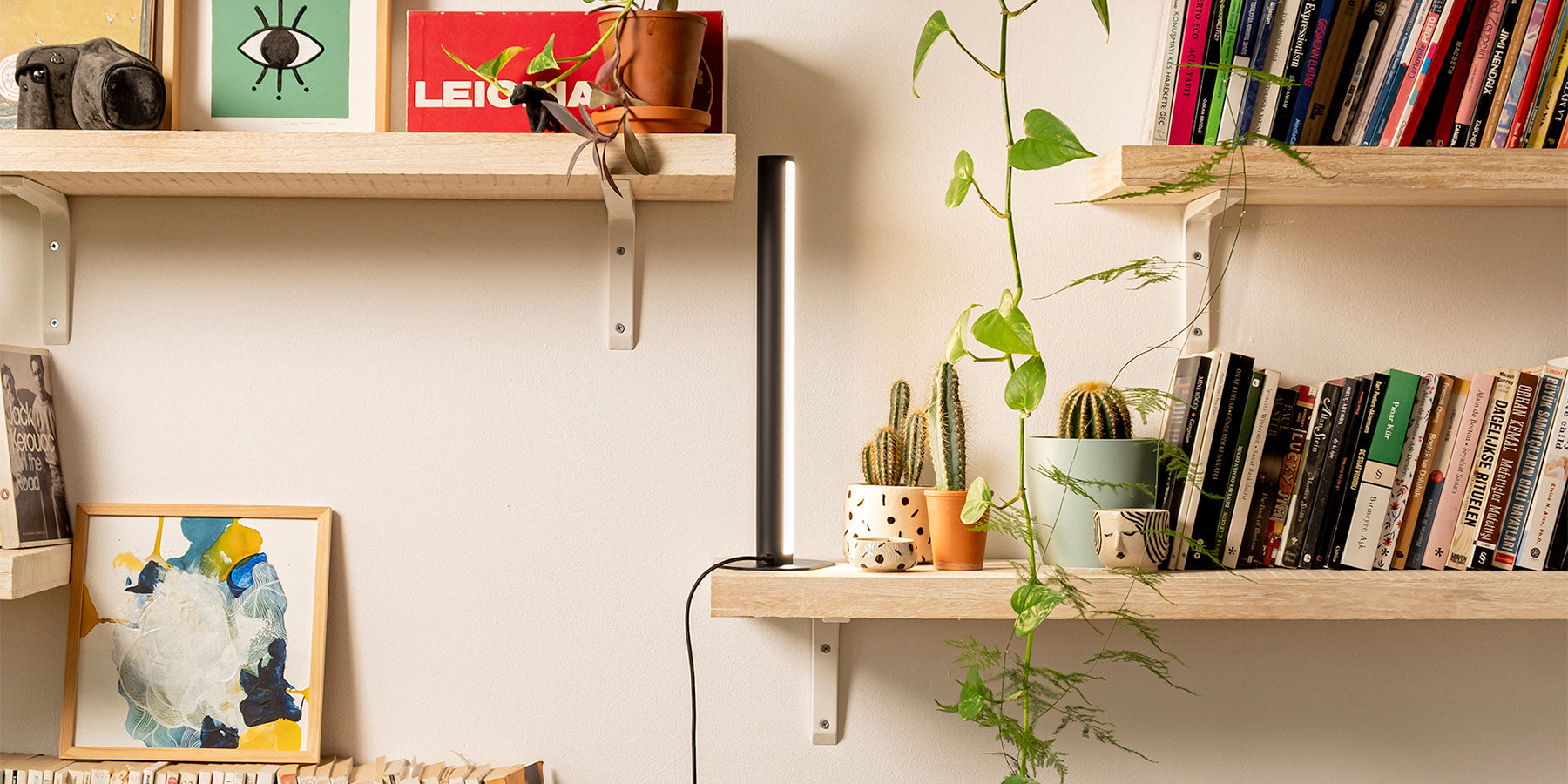 A Beginner's Guide to Grow Lights