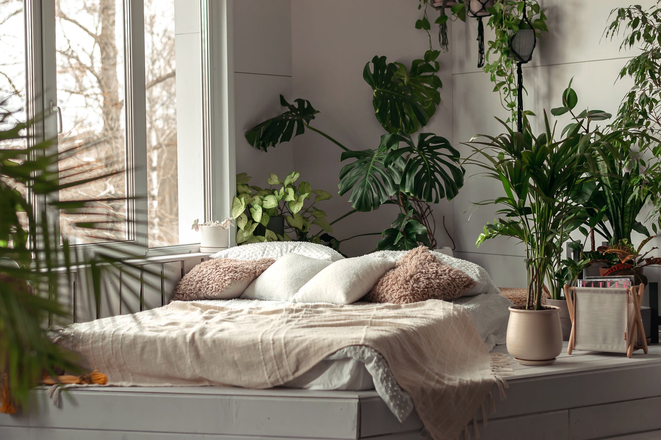 Best Indoor Plants for Bedrooms: What Actually Works in Real Homes