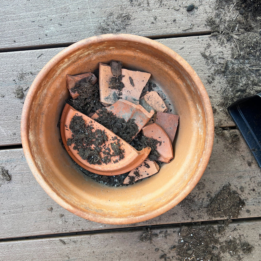 New Study: The Truth About Drainage Layers in Plant Pots