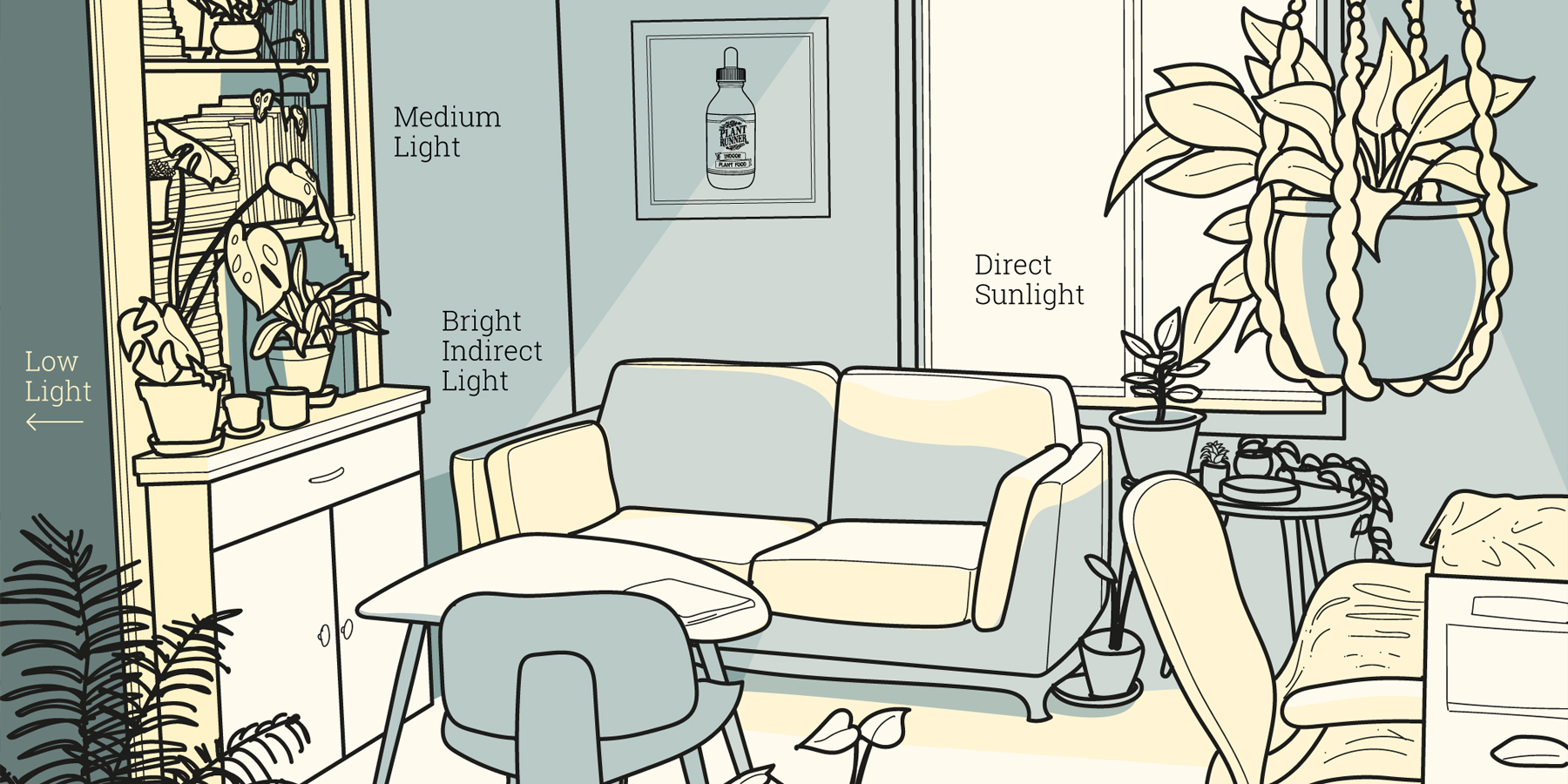 HOW TO CHOOSE THE BEST INDOOR LIGHTING FOR YOUR PLANTS