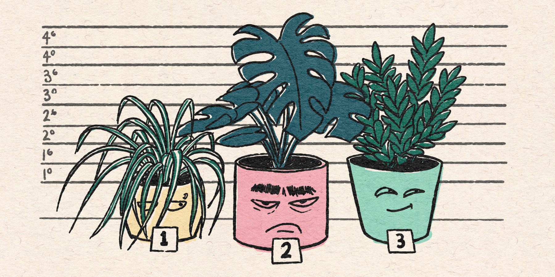 Keeping them potted - Which indoor plants are actually weeds?