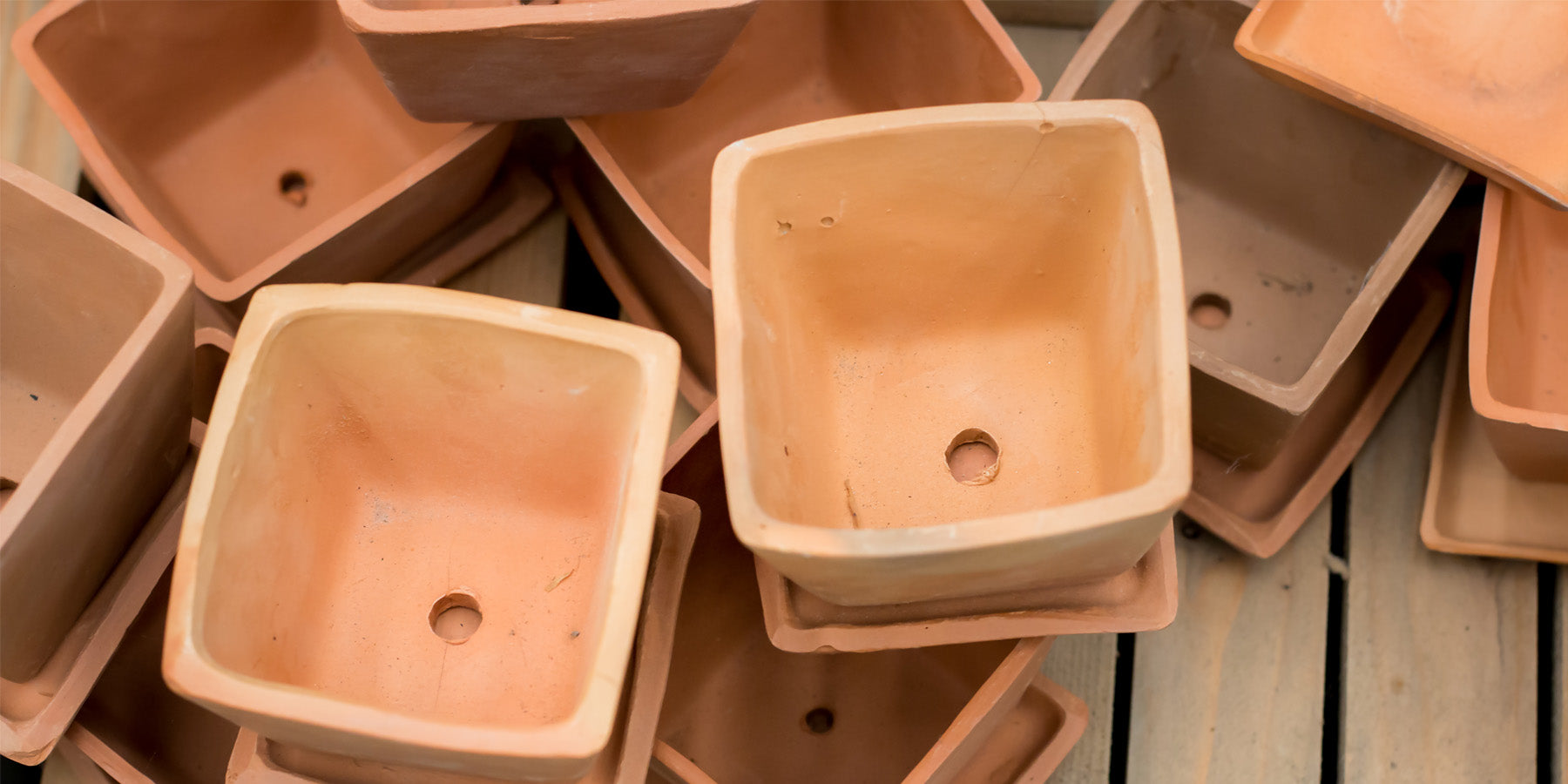 The Importance of Drainage Holes in Pots