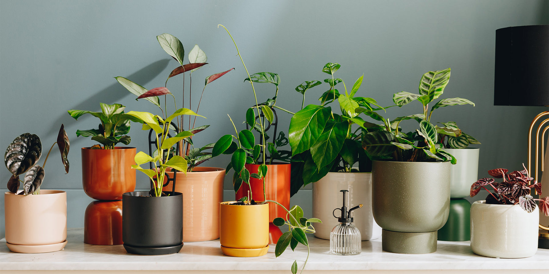 Drainage holes for indoor pots: What you need to know.