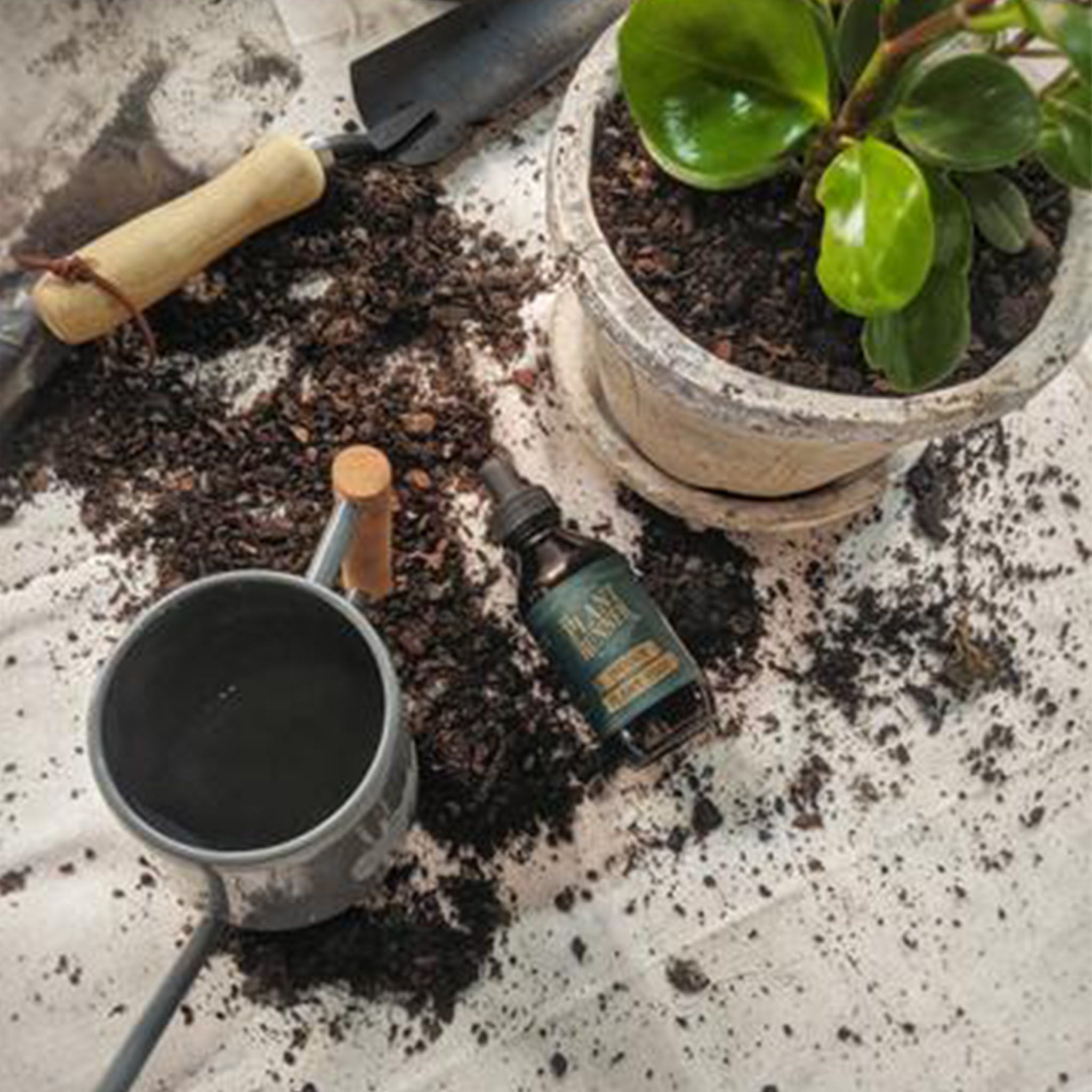 Potting Up: The When, The Why and The How