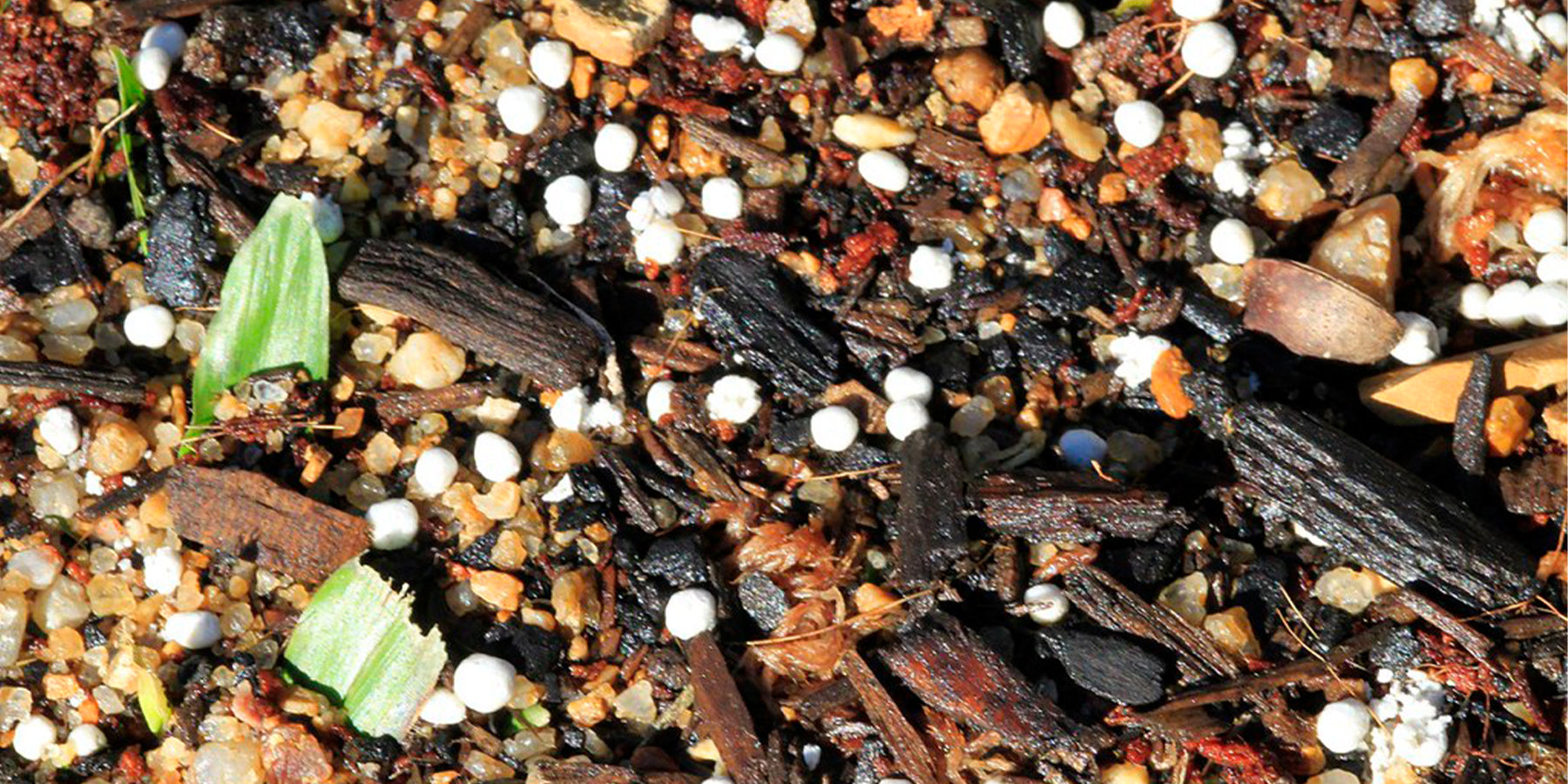 Slow Release vs Liquid Fertiliser: When to use and what is the difference?