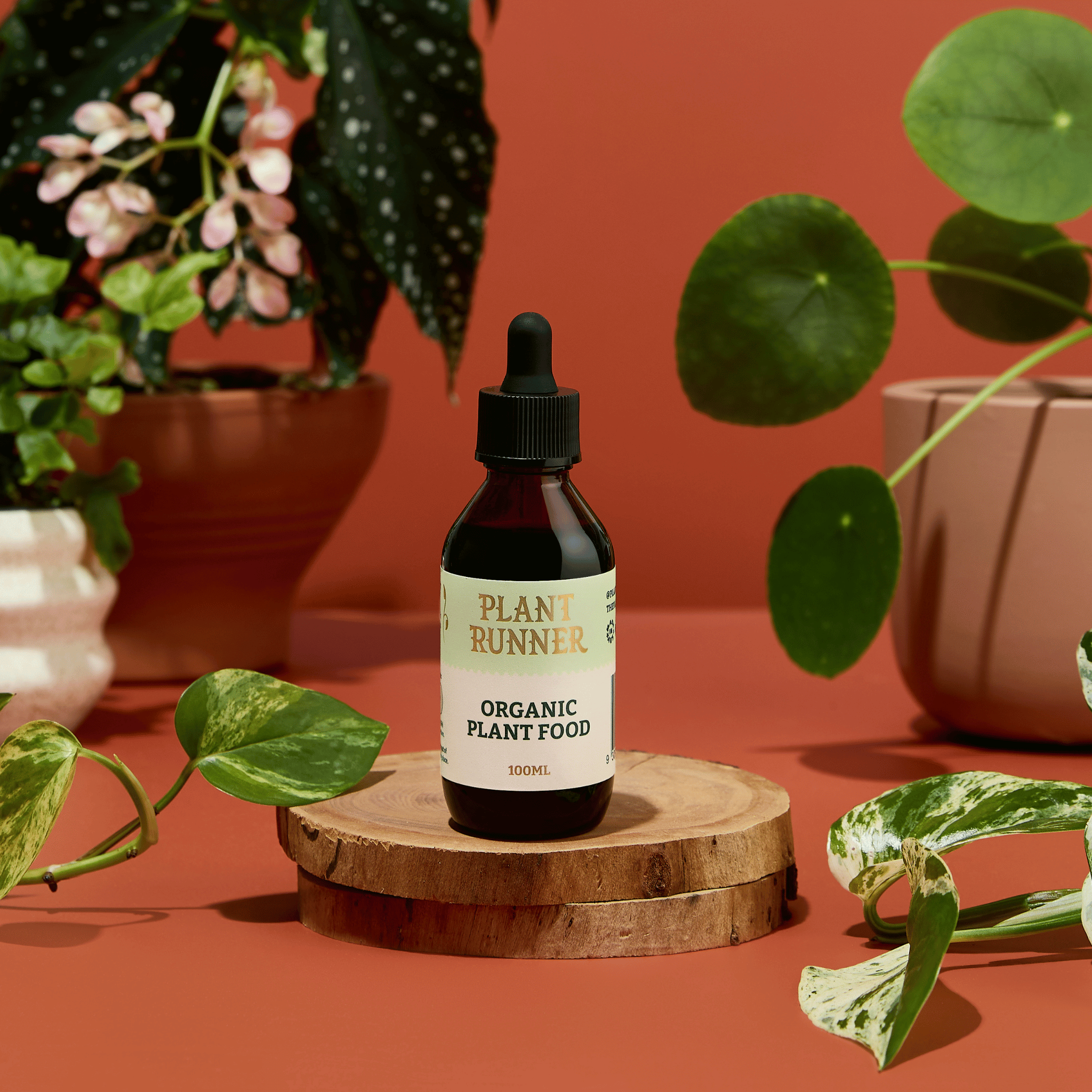 Plant Runner Organic Plant Food 100ml Bottle