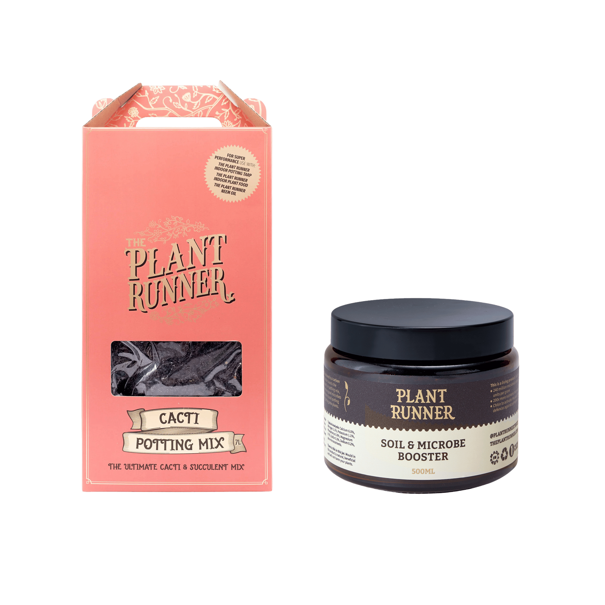 Plant Runner Succulent Survival Kit