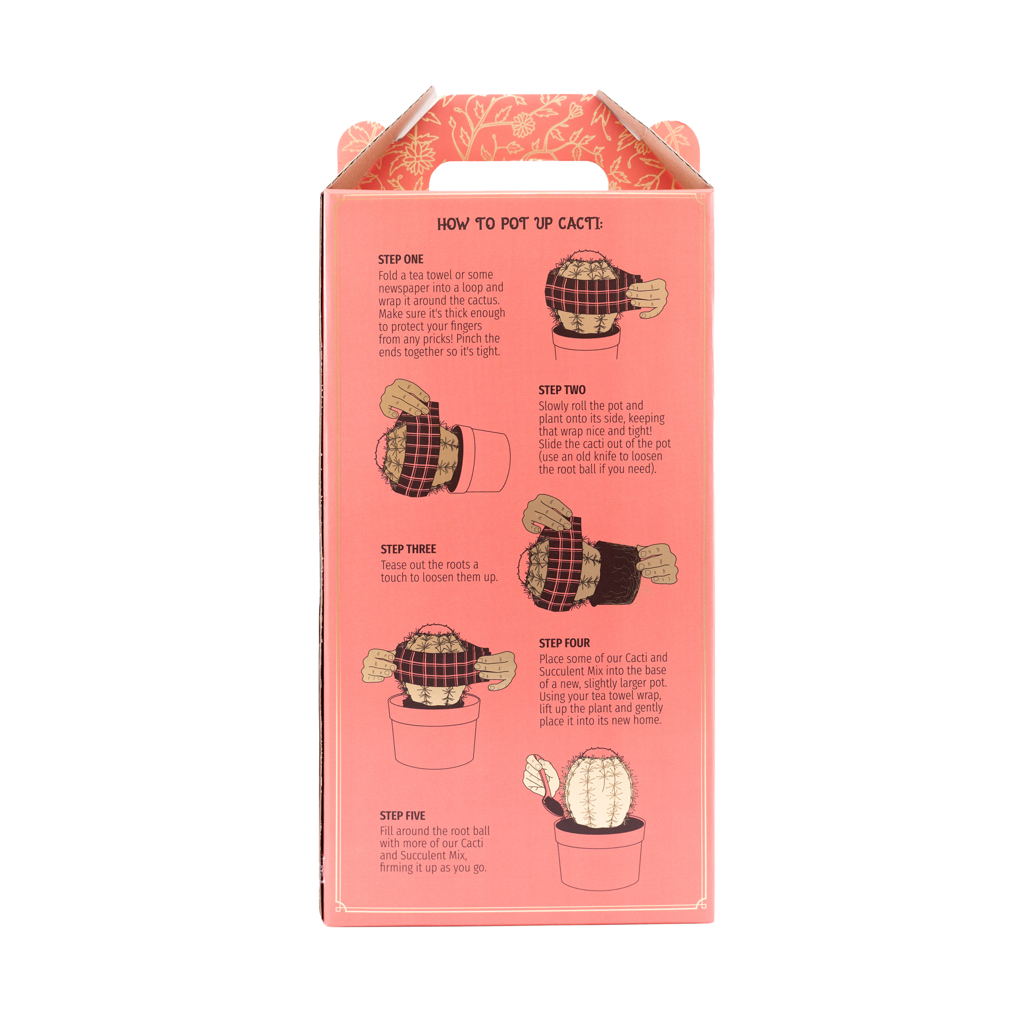 The Plant Runner back of packaging with illustrations and text on how to pot up cacti