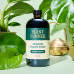 Indoor Plant Food Bottle Set amongst Plants