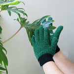 Leaf Shine Gloves_Indoor Plant_Protect