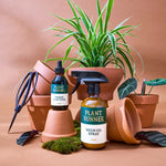The Plant Runner_Indoor Food_Neem Oil_with Terracotta Pots and accessories