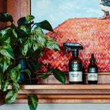 Indoor Plant Food 100ml