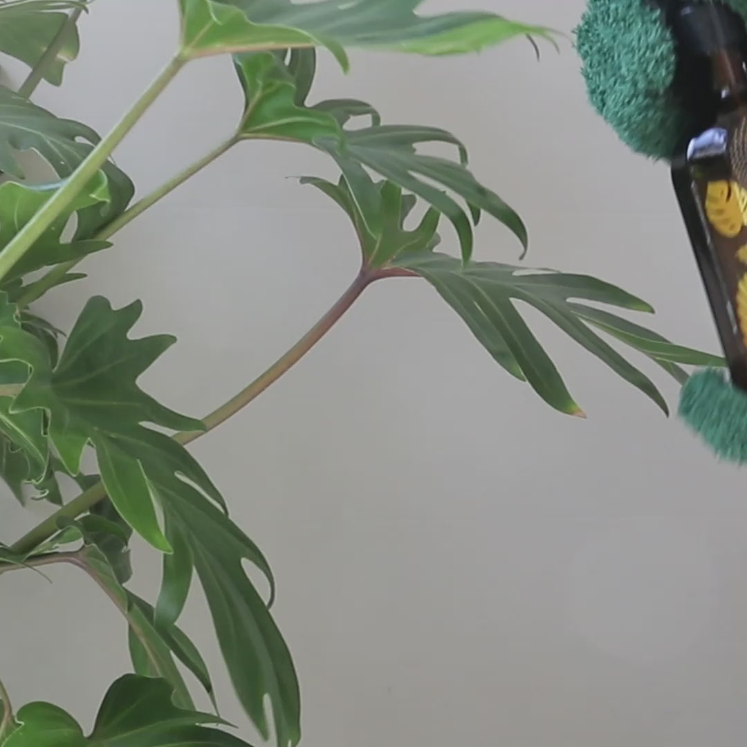 Leaf Love Glove_How to use