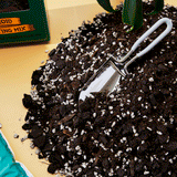 The Plant Runner_Aroid Mix and Potting Scoop
