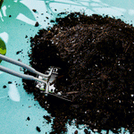 Contents of the The Plant Runner Indoor Potting Mix