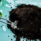 Contents of the The Plant Runner Indoor Potting Mix
