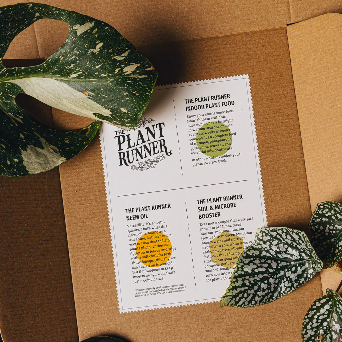 Plant Care Booster Kit x 10 - Wholesale