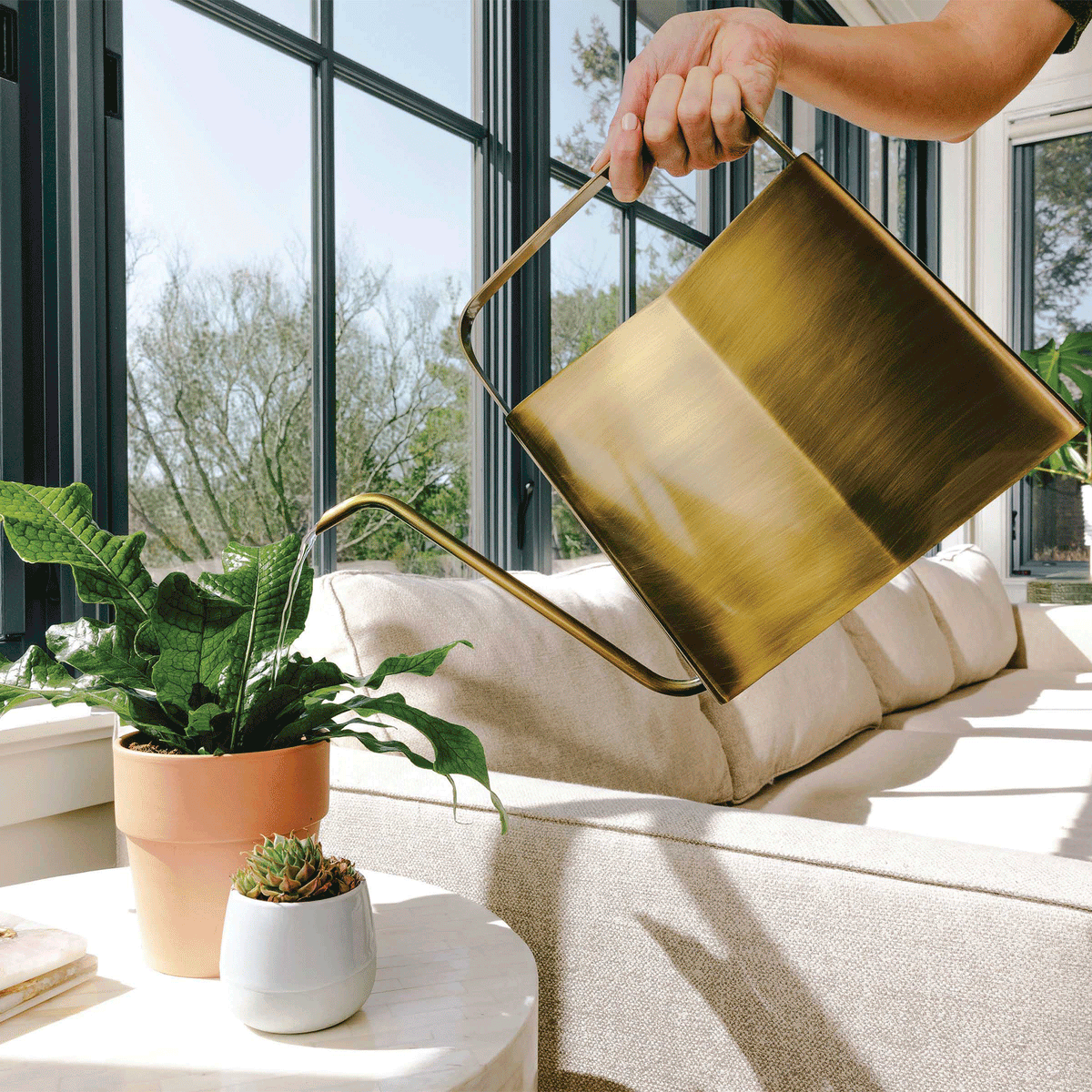 3L Brass Watering Can