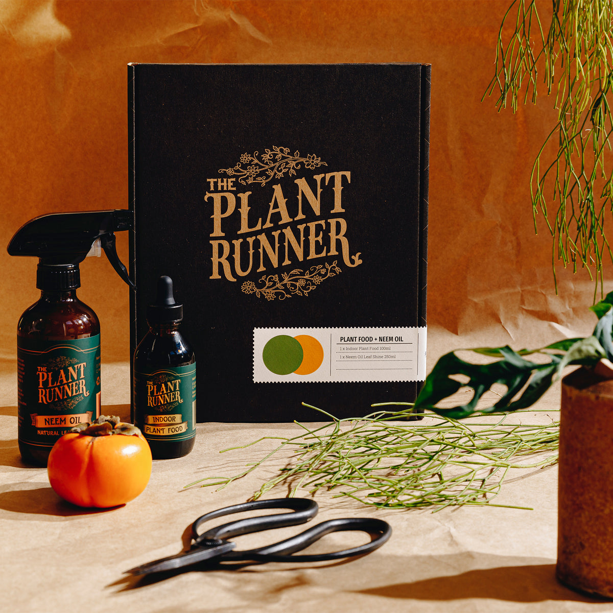 Plant Care Essentials Kit